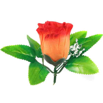 Róża w pąku - główka z liściem Orange Yellow